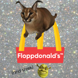 Floppdonald's (and shrek)