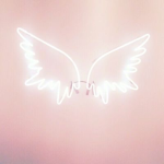 BloomxAngels