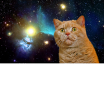 space cats!