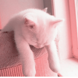🎀