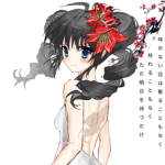 solara 夏