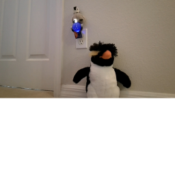 ESCAPE THE BIRDS!