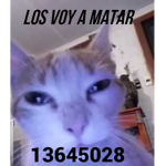 losvoyamatar