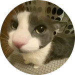 Meet OOFINGTON228