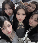 Coco cuties club