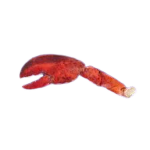 House Of The Crusher Claw
