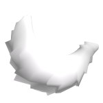 Tail