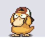 Duck inspect