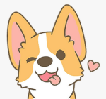 Corgi love club!