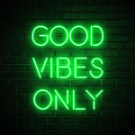 ~ • VIBE • ~