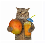 mangosaft