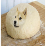 mocross's doge group