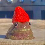 FEIJAO NO PATO