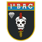 Batalhão de Ações de Comandos E.B