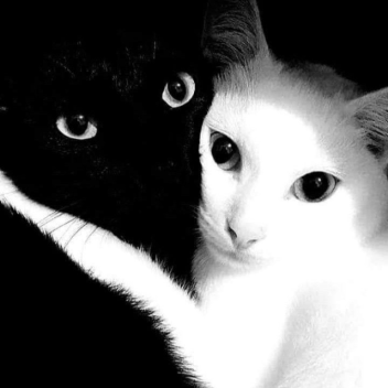 ૮꒰ ˶• ༝ •˶꒱ა ♡