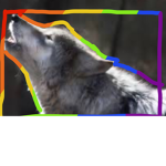 Wolfinators
