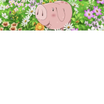 Asterthedog