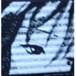 x67