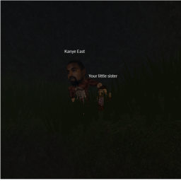 Survival of the canyes