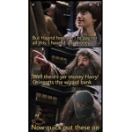 Harry Potter, The Owl House, And Magic Fan Group