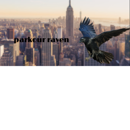 Ravens fam's Parkour!