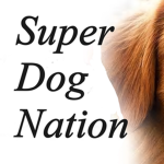 SuperDogNation