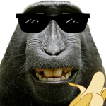 Monke_Creations