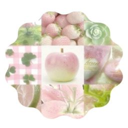🍥 ｡♡