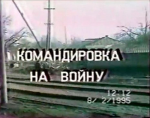 Бомжи Америки