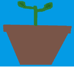 the planters and the plants