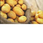 We Are All Just Potatoes