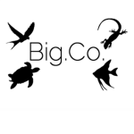 Big.Co.