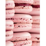Cooki Kingdom