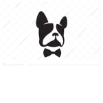 Buisness Dog Studios