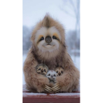 ~|Sloths|~
