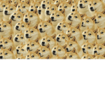 Doge,s group