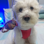 clube esther blox
