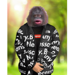 Drip Monkey Gang