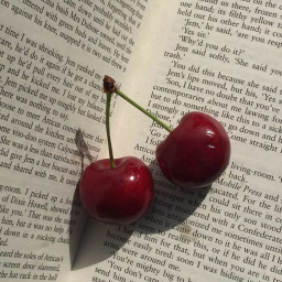 ✧.