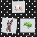 COCOA,COLLARD G., AND BINGUS