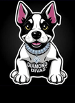 Diamond divas elite academy