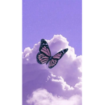 Butterfly Fam<3