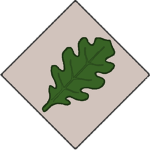 Northern Elbetian Protection Squadron