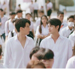 Brightwin Shippers