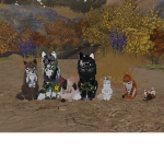 WindClan's Camp!