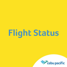 Flight Status