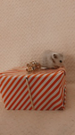 Rio has hamsters
