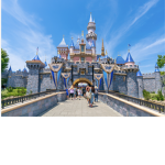 Team DisneyLand