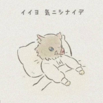 Caca de gato