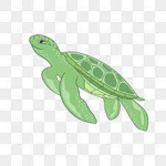Turtle FREAK